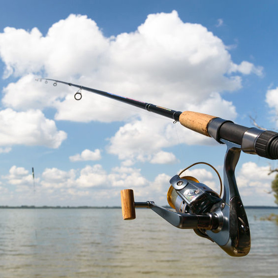 Infinite Blue Charters : Fishing Charter Provider in Marathon