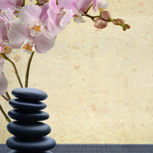 Massage Essence : Massage Therapist in Costa Mesa