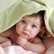 Carolyn Ross Photography : Photographer in Weston